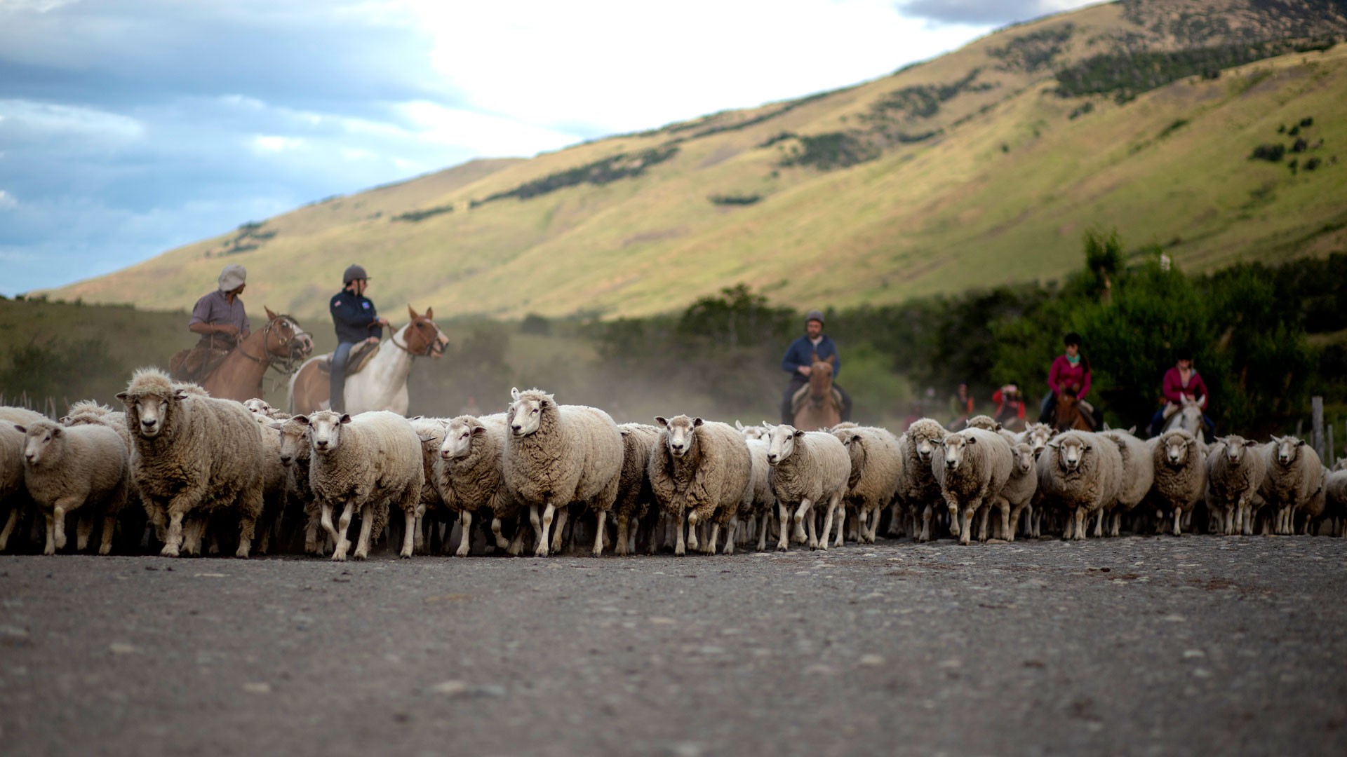 El Calafate