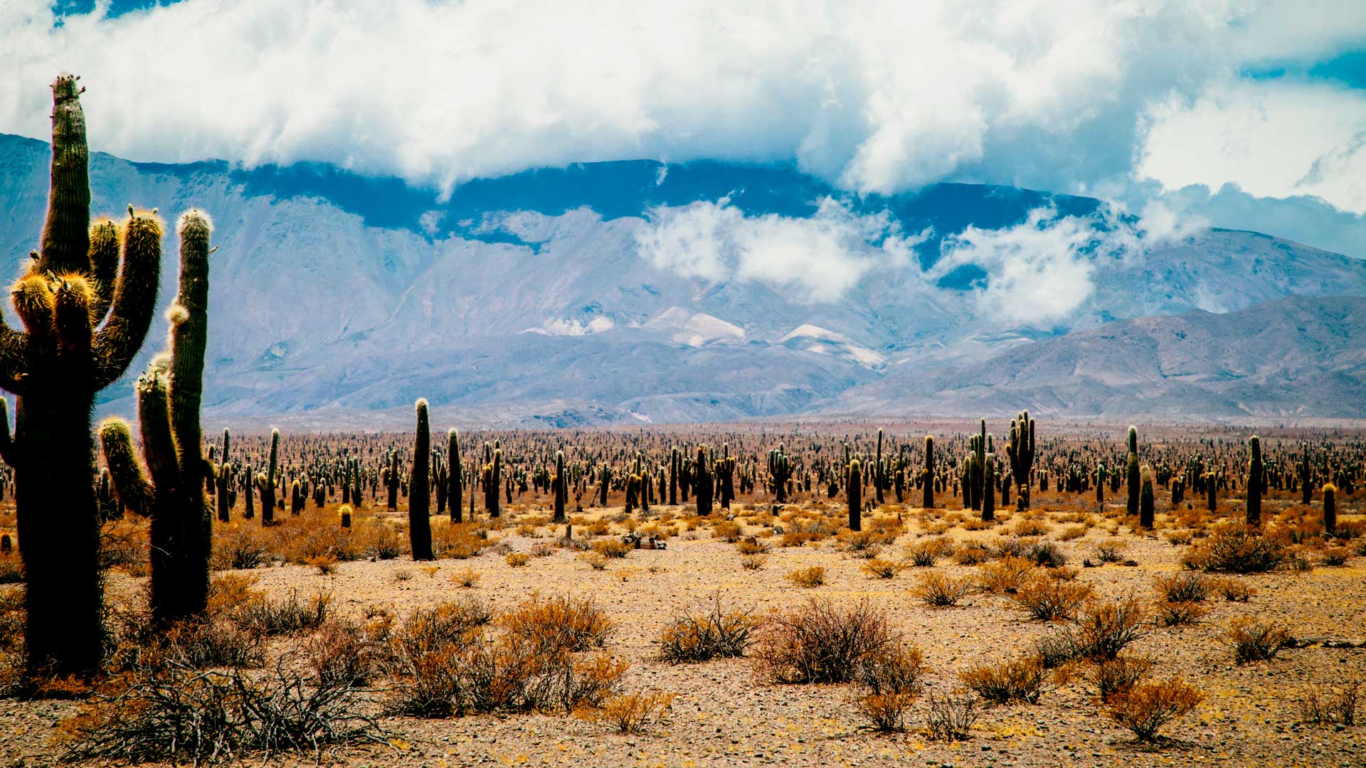 Salta & Jujuy