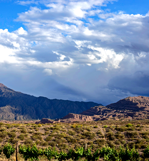 Mendoza